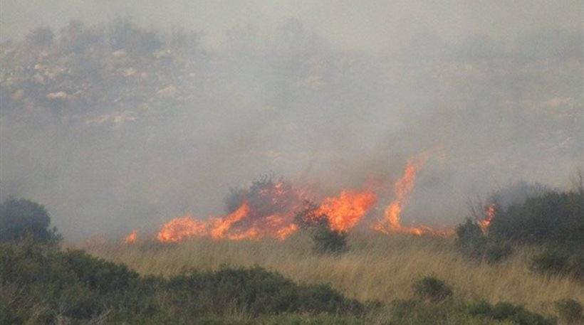 Ιωάννινα: Ανεξέλεγκτη φωτιά κοντά στην Πανεπιστημιούπολη